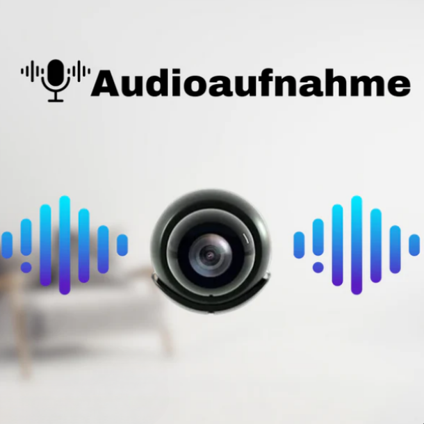 WatchGuard™ | Mini-WiFi-Sicherheitskamera
